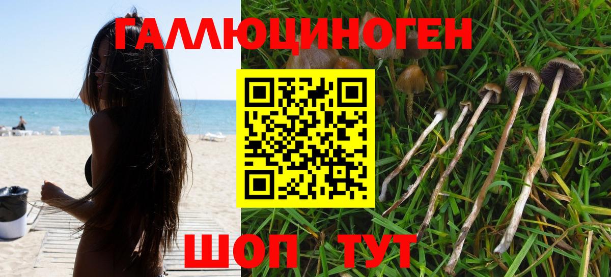 Галлюциногенные грибы мицелий Александров